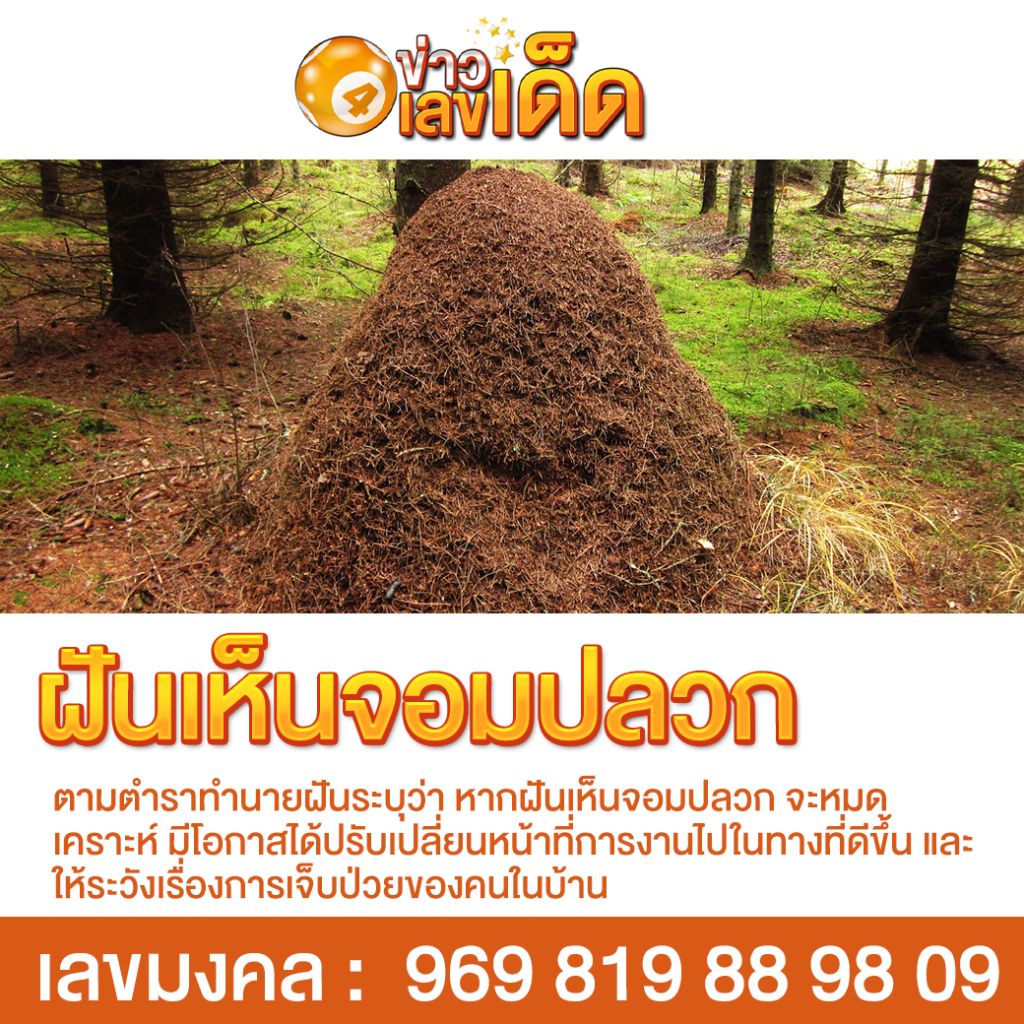 ฝันเห็นจอมปลวก