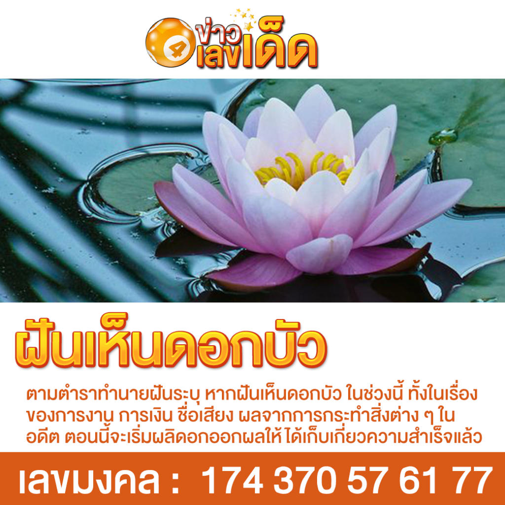 ฝันเห็นดอกบัว