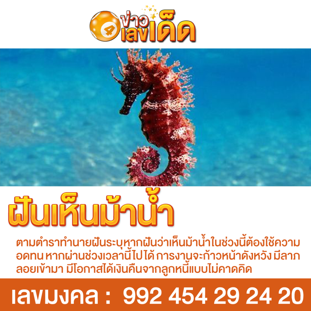 ฝันเห็นม้าน้ำ