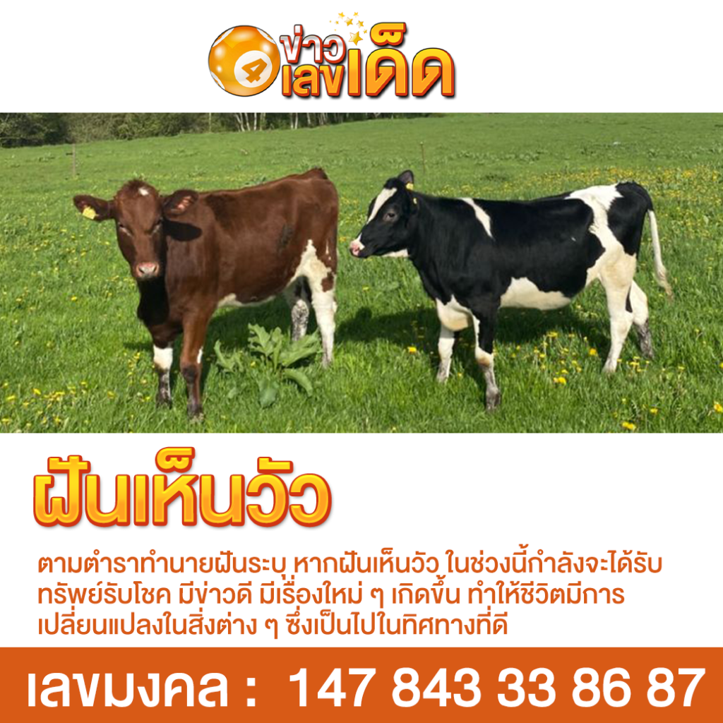 ฝันเห็นวัว