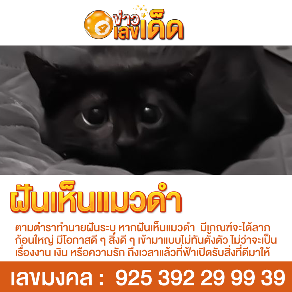 ฝันเห็นแมวดำ