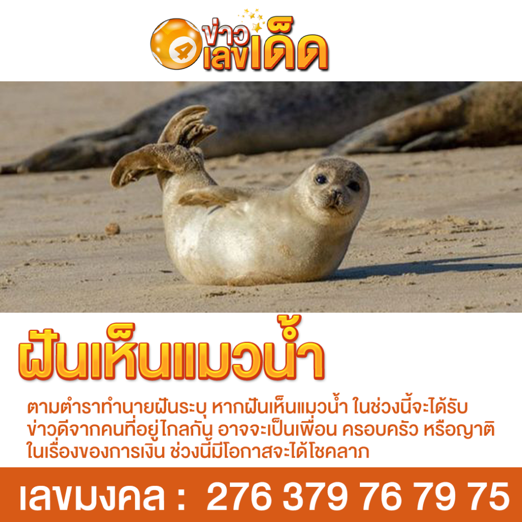 ฝันเห็นแมวน้ำ