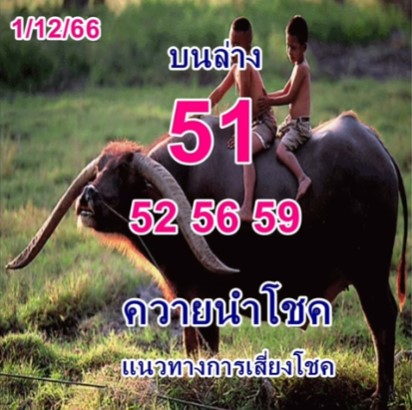 หวยควายนำโชค 1-12-66