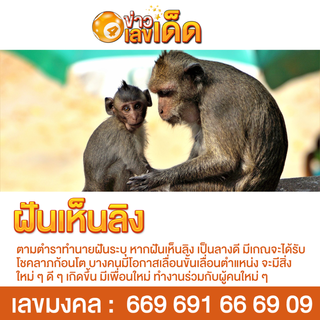 ฝันเห็นลิง