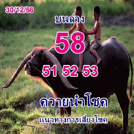 หวยควายนำโชค 30-12-66