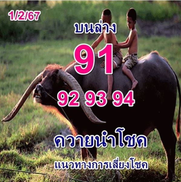 หวยควายนำโชค 1-2-67