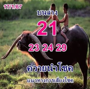 หวยควายนำโชค-17-1-67