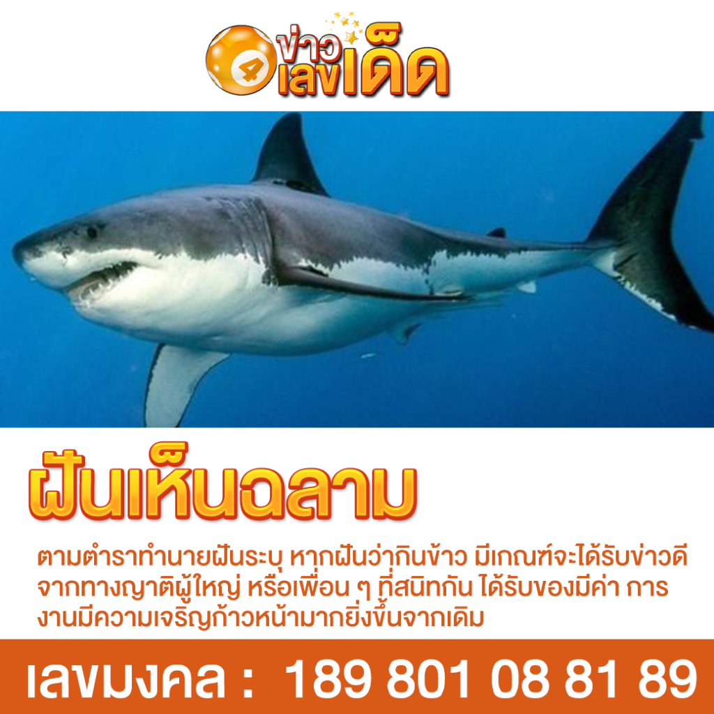 ฝันเห็นฉลาม