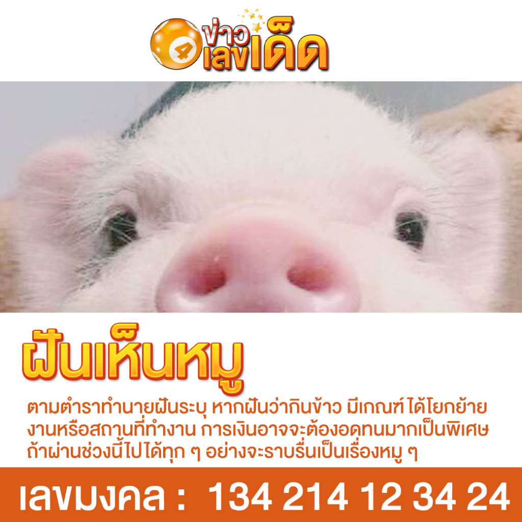 ฝันเห็นหมู