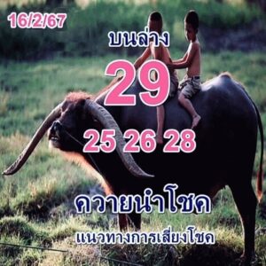 หวยควายนำโชค-16-2-67