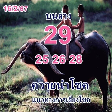 หวยควายนำโชค 16-2-67