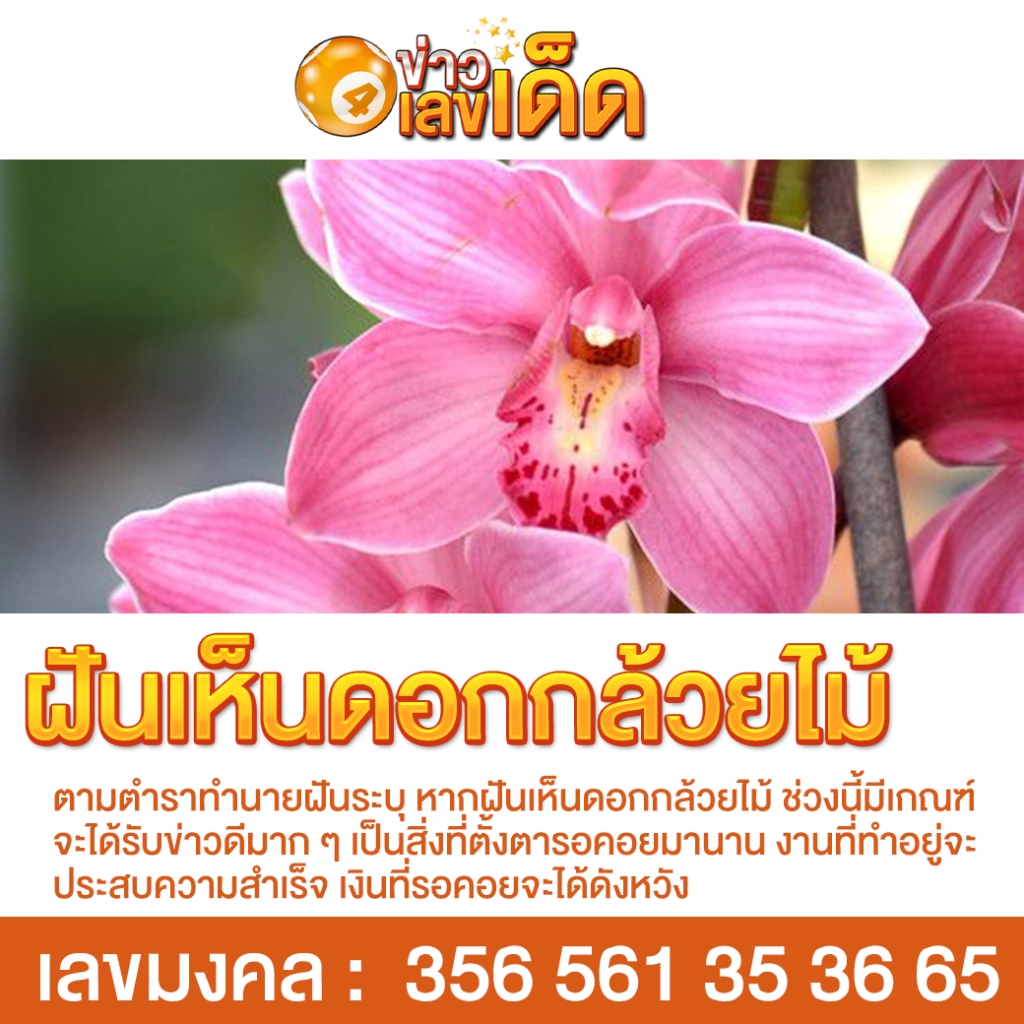 ฝันเห็นดอกกล้วยไม้