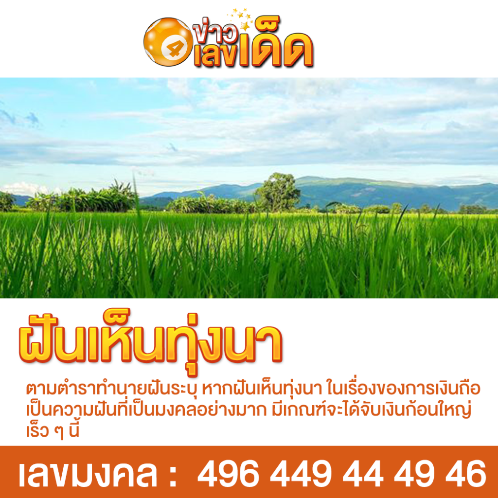 ฝันเห็นทุ่งนา