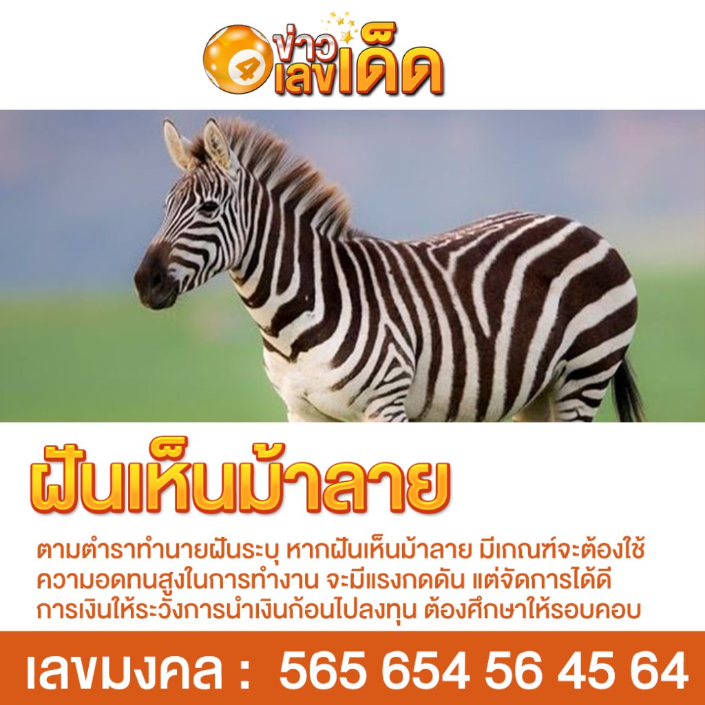 ฝันเห็นม้าลาย