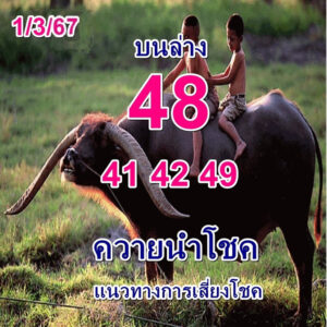 หวยควายนำโชค-1-3-67