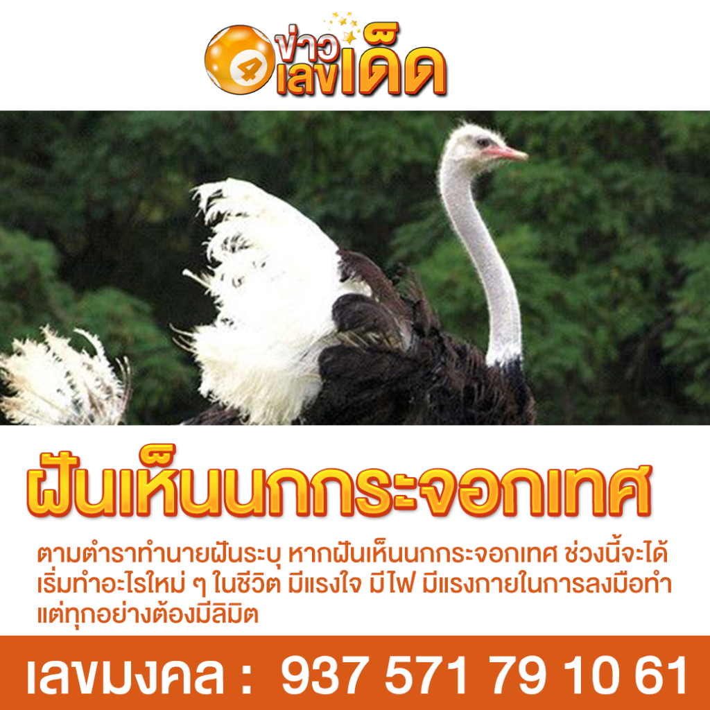 ฝันเห็นนกกระจอกเทศ