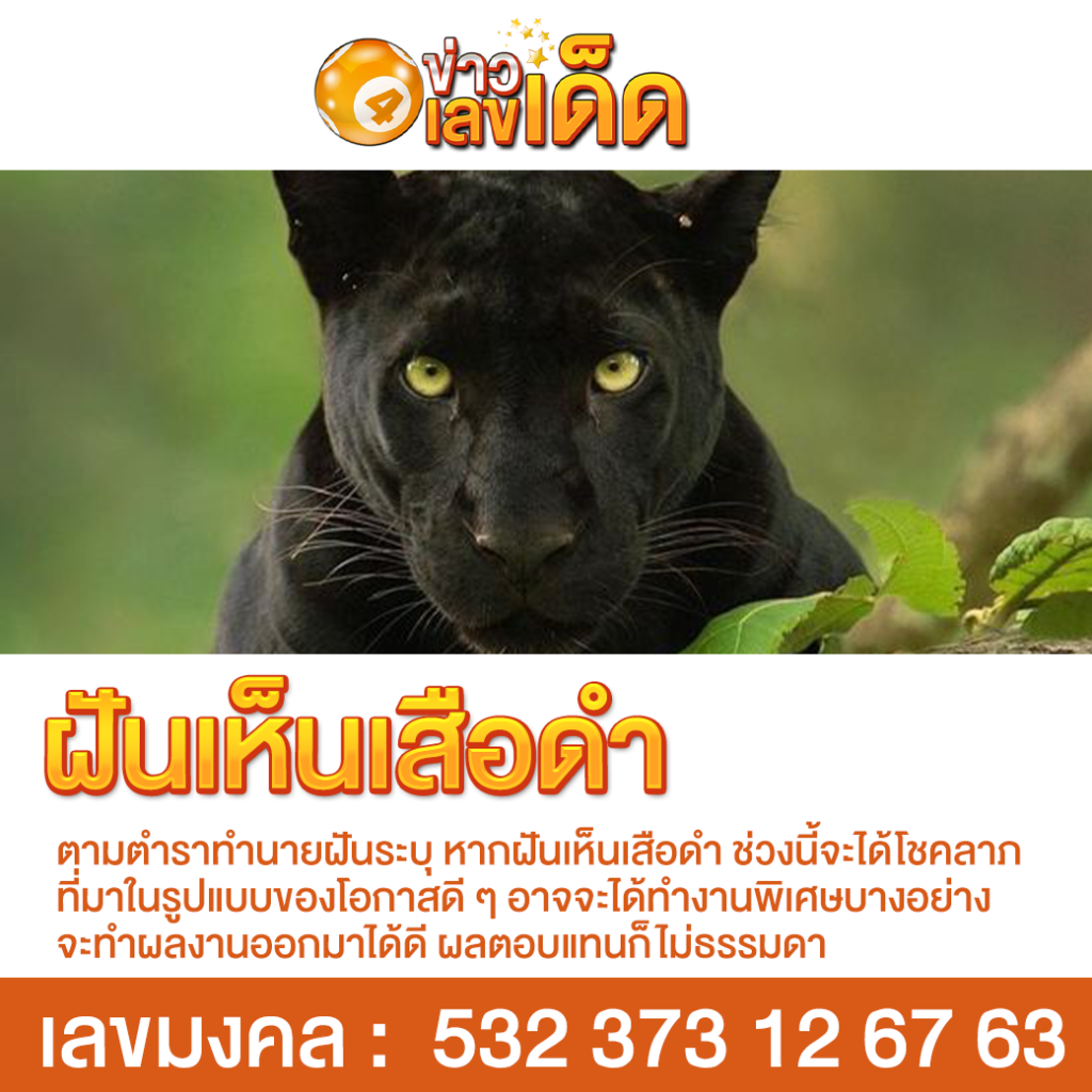 ฝันเห็นเสือดำ
