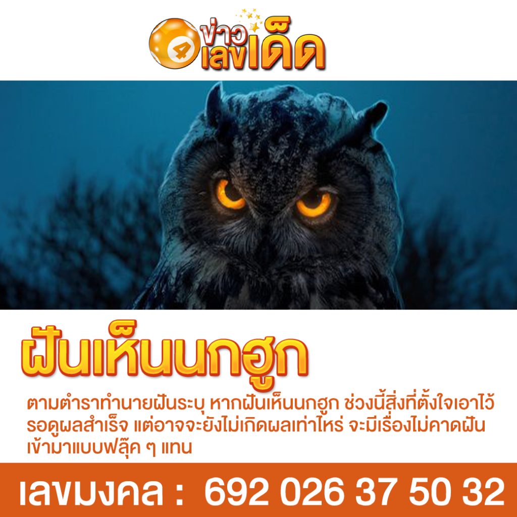 ฝันเห็นนกฮูก