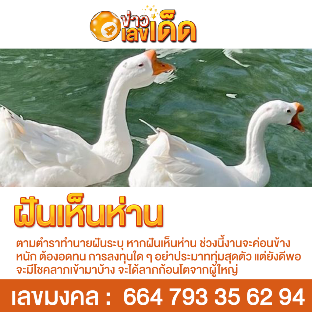 ฝันเห็นห่าน