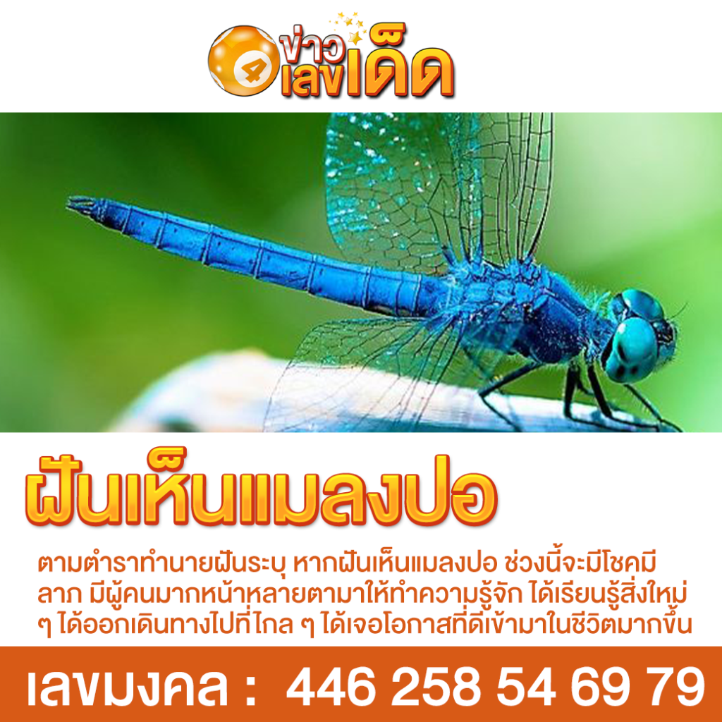 ฝันเห็นแมลงปอ