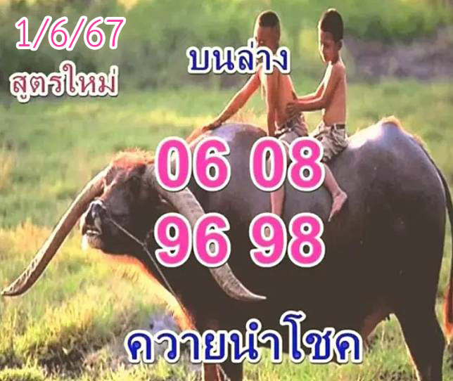หวยควายนำโชค 1-6-67