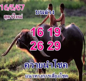 หวยควายนำโชค-16-5-67