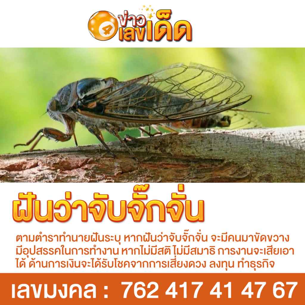 ฝันว่าจับจั๊กจั่น