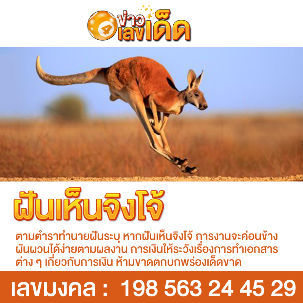 ฝันเห็นจิงโจ้