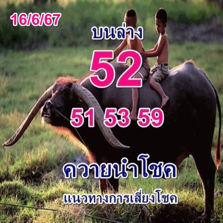 หวยควายนำโชค 16-6-67